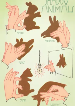 Madame Treacle Greeting Cards-Shadow Animals Greetings Card