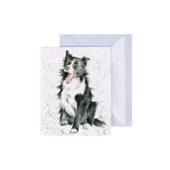 Wrendale Designs Greeting Cards-'Shadow' Border Collie Gift Enclosure Card