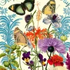 Madame Treacle Greeting Cards-Singing Butterflies Mother's Day Card