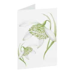 Jane Abbott Designs Greeting Cards-Snowdrop Greeting Card