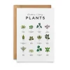 Everlong Print Co. Greeting Cards-Sometimes I Wet my Plants Card
