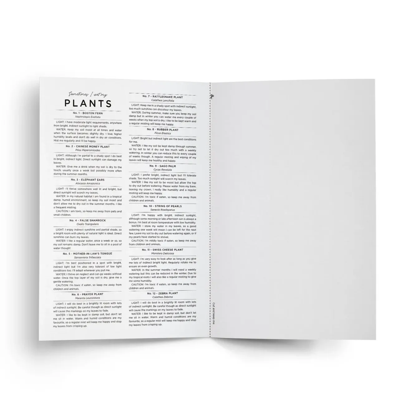 Everlong Print Co. Greeting Cards-Sometimes I Wet my Plants Card