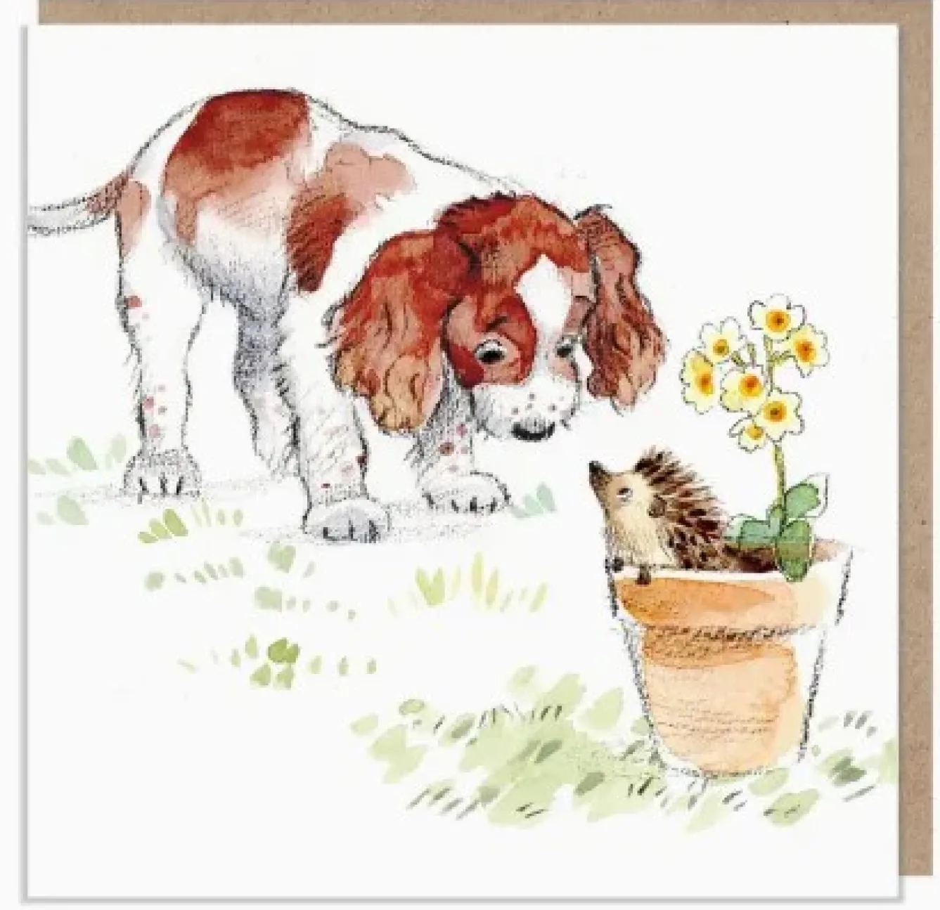 Paper Shed Design Greeting Cards-Spaniel with Hedgehog Greetings Card