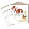 Paper Shed Design Greeting Cards-Springer Spaniel and Hedgehog Set of 5  Notecards