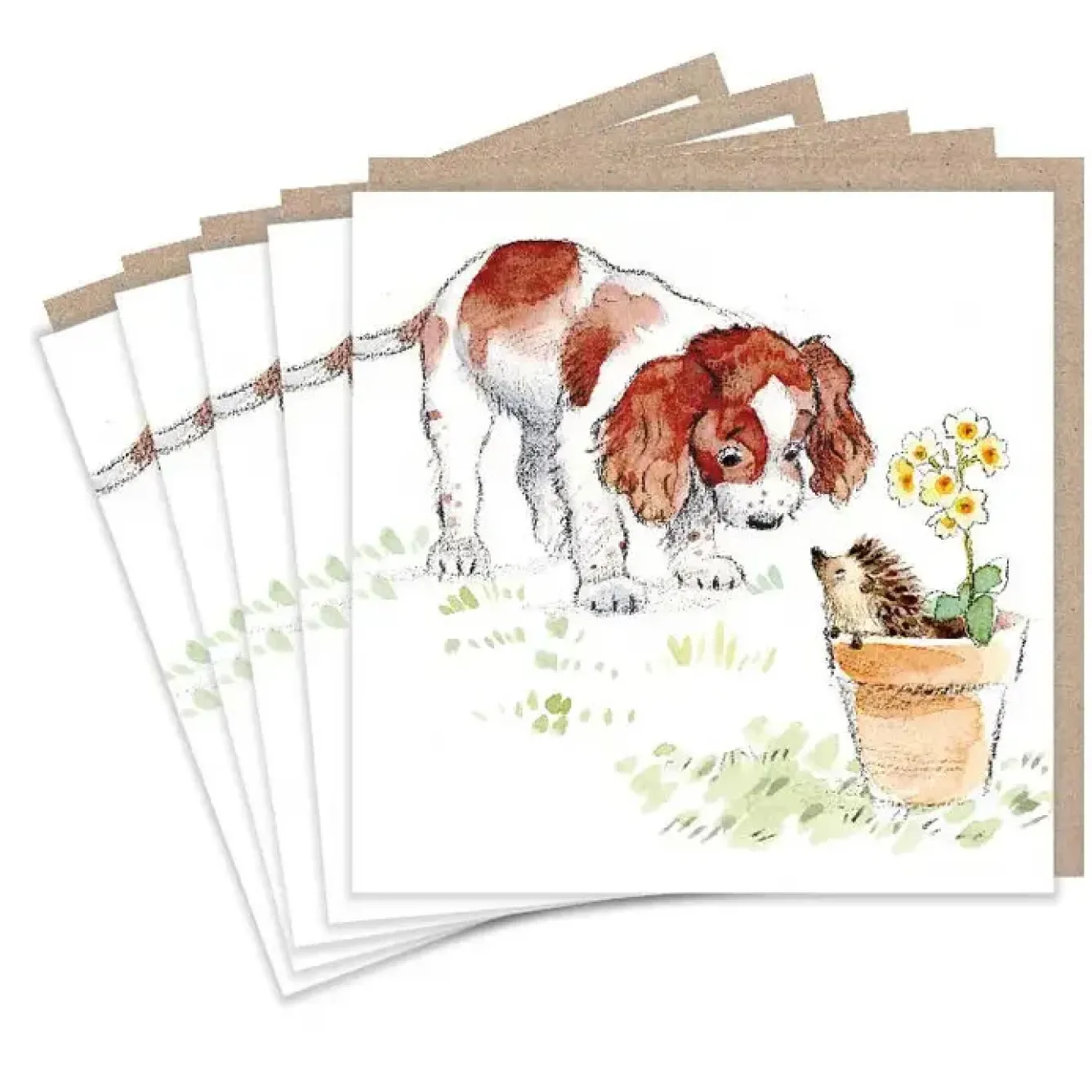Paper Shed Design Greeting Cards-Springer Spaniel and Hedgehog Set of 5 Notecards
