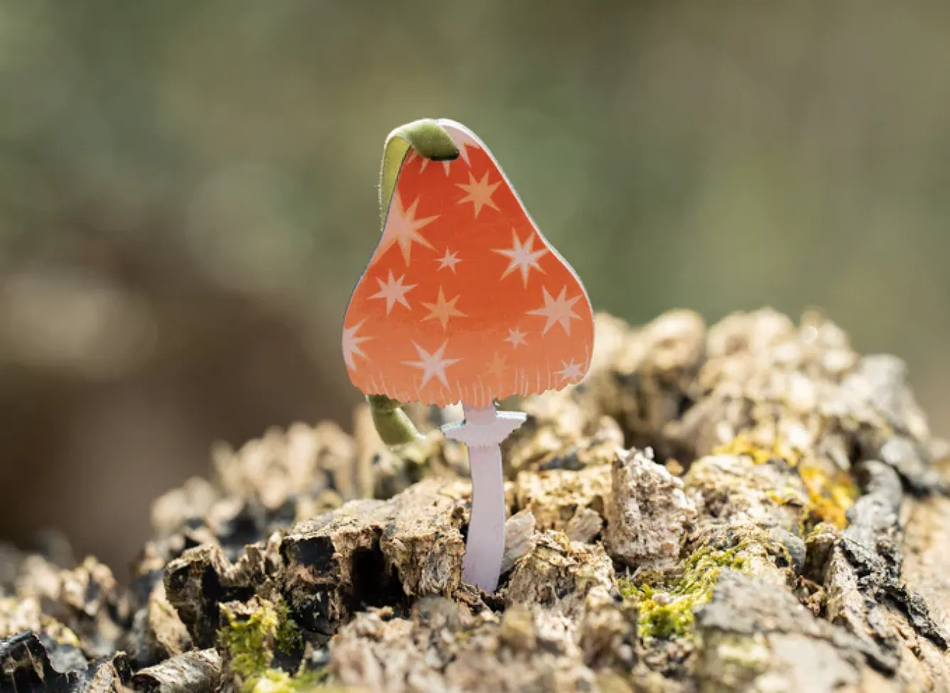 Dapple & Dot Christmas-Starry Mushroom Wooden Decorations