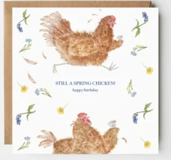 West Country Designs Greeting Cards-'Still A Spring Chicken' Birthday Card