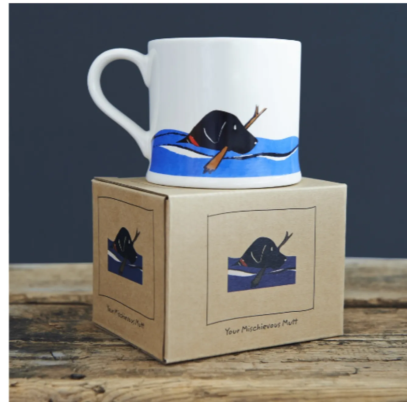 Sweet William Pets|Pets-Swimming Black Labrador Mug Boxed
