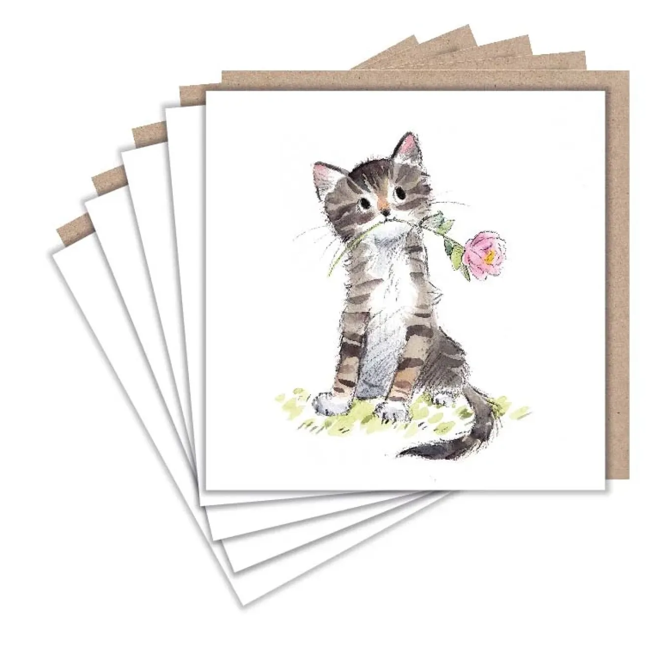 Paper Shed Design Greeting Cards-Tabby Cat and Flower Set of 5 Notecards