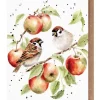 Wrendale Designs Greeting Cards-'The Apple Tree' Sparrow Greetings Card