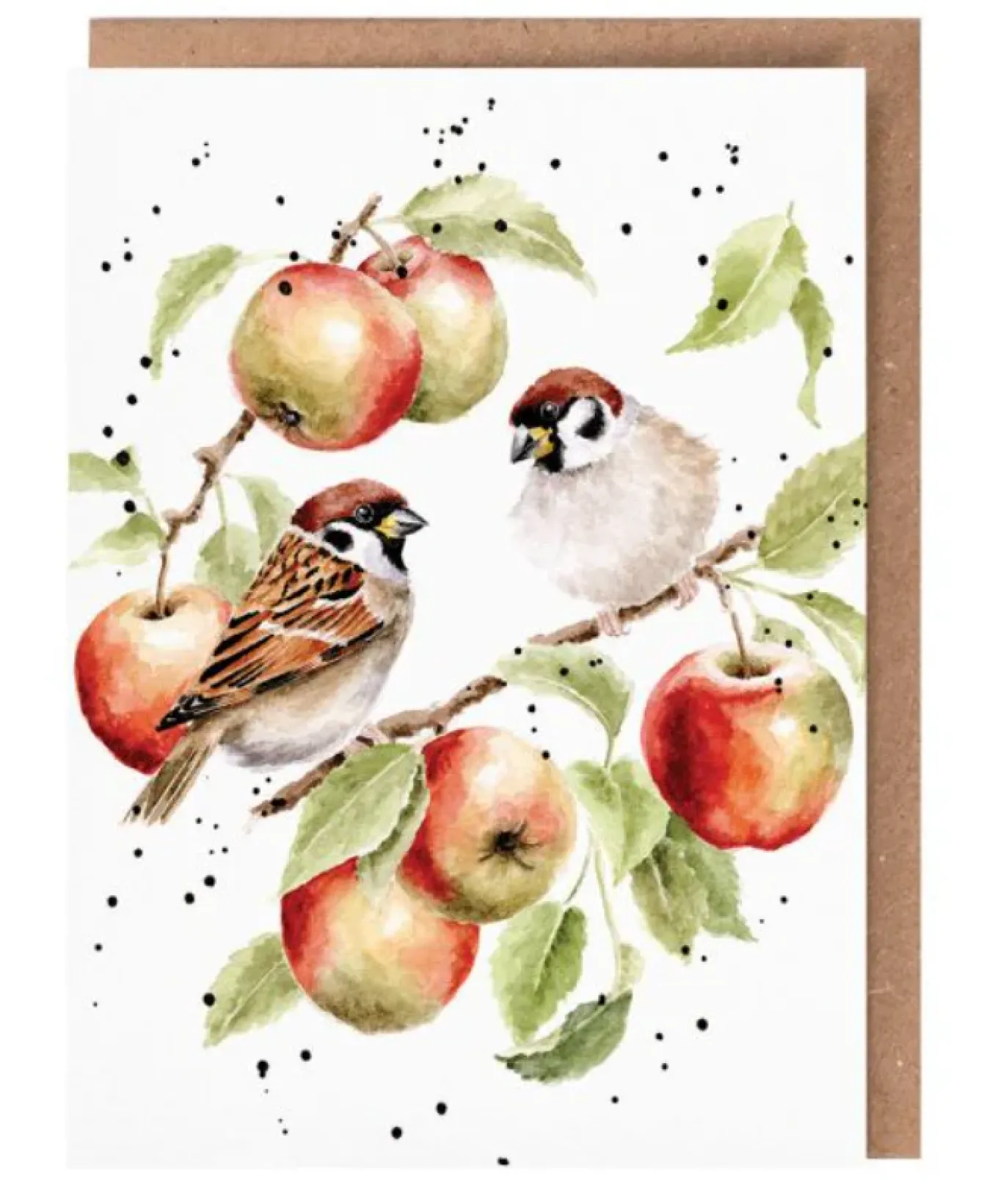 Wrendale Designs Greeting Cards-'The Apple Tree' Sparrow Greetings Card
