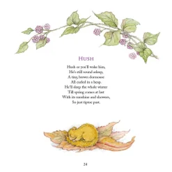 Moongazer Cards Books-The Way to Faerieland Book