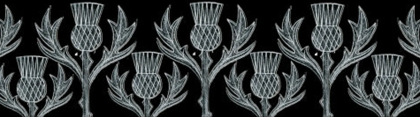 Moorland Pottery Whimsical|Flowers & Garden-Thistle Mug by