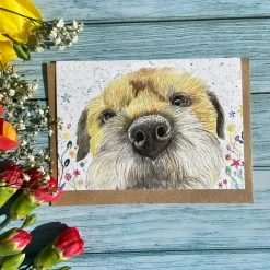 Jen Winnett Greeting Cards-Tilly the Border Terrier Eco-card
