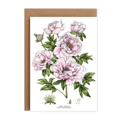 Catherine Lewis Greeting Cards-Tree Peony - card