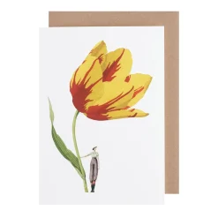 Laura Stoddart Greeting Cards-Tulip Blank Greetings Card