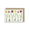 Laura Stoddart Greeting Cards-Tulip Parade Greetings Card