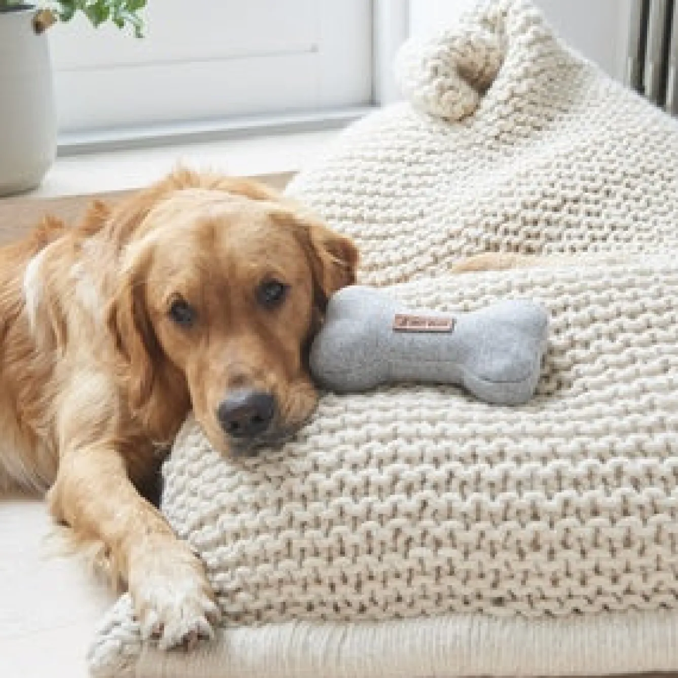 Sweet William Pets-Tweed Dog Bone Shaped Dog Toy - Grey