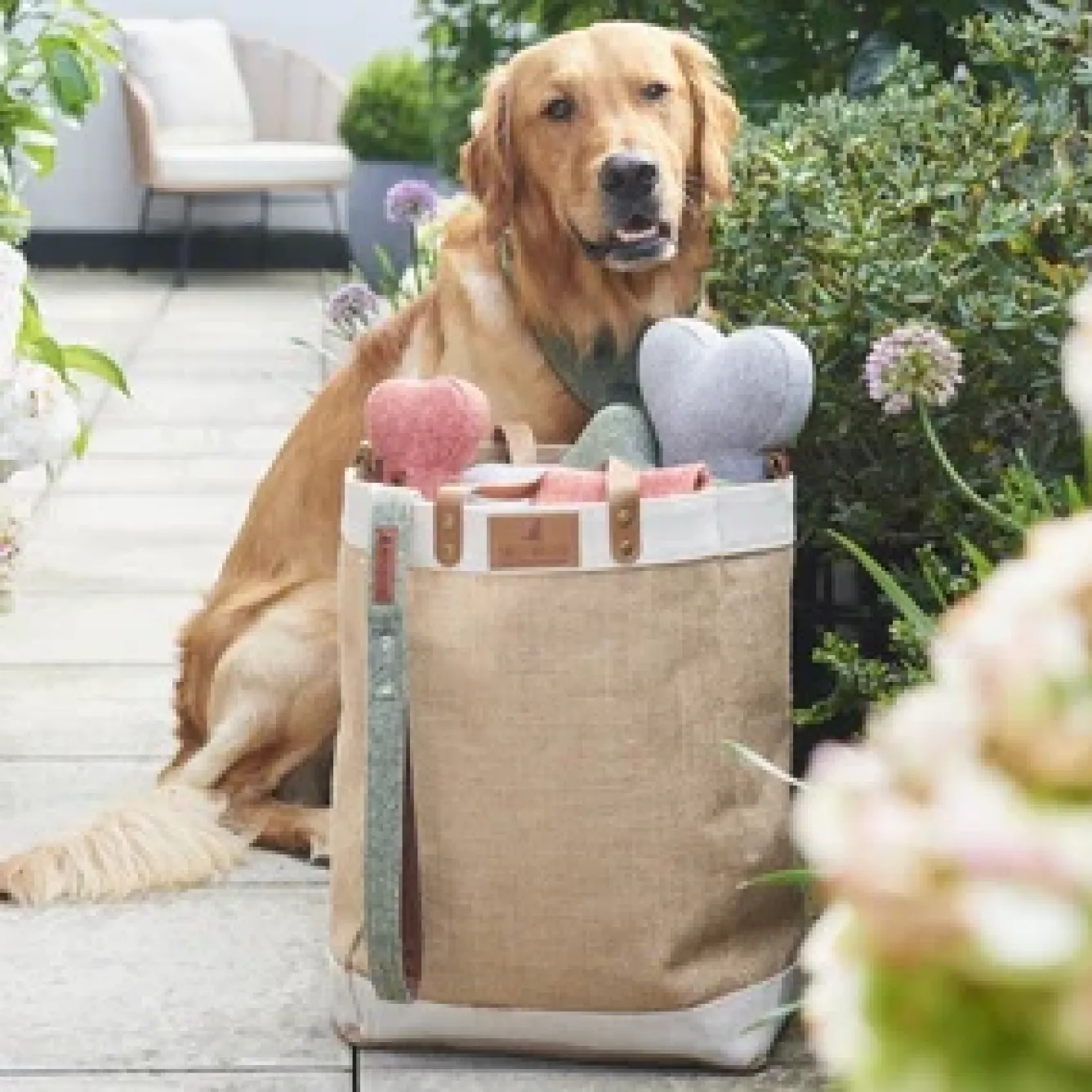 Sweet William Pets-Tweed Dog Bone Shaped Dog Toy - Grey