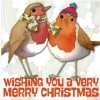 Emma Ball Christmas Cards|Christmas-Two Robins Pack of 6 Christmas Cards