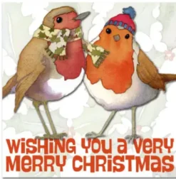 Emma Ball Christmas Cards|Christmas-Two Robins Pack of 6 Christmas Cards