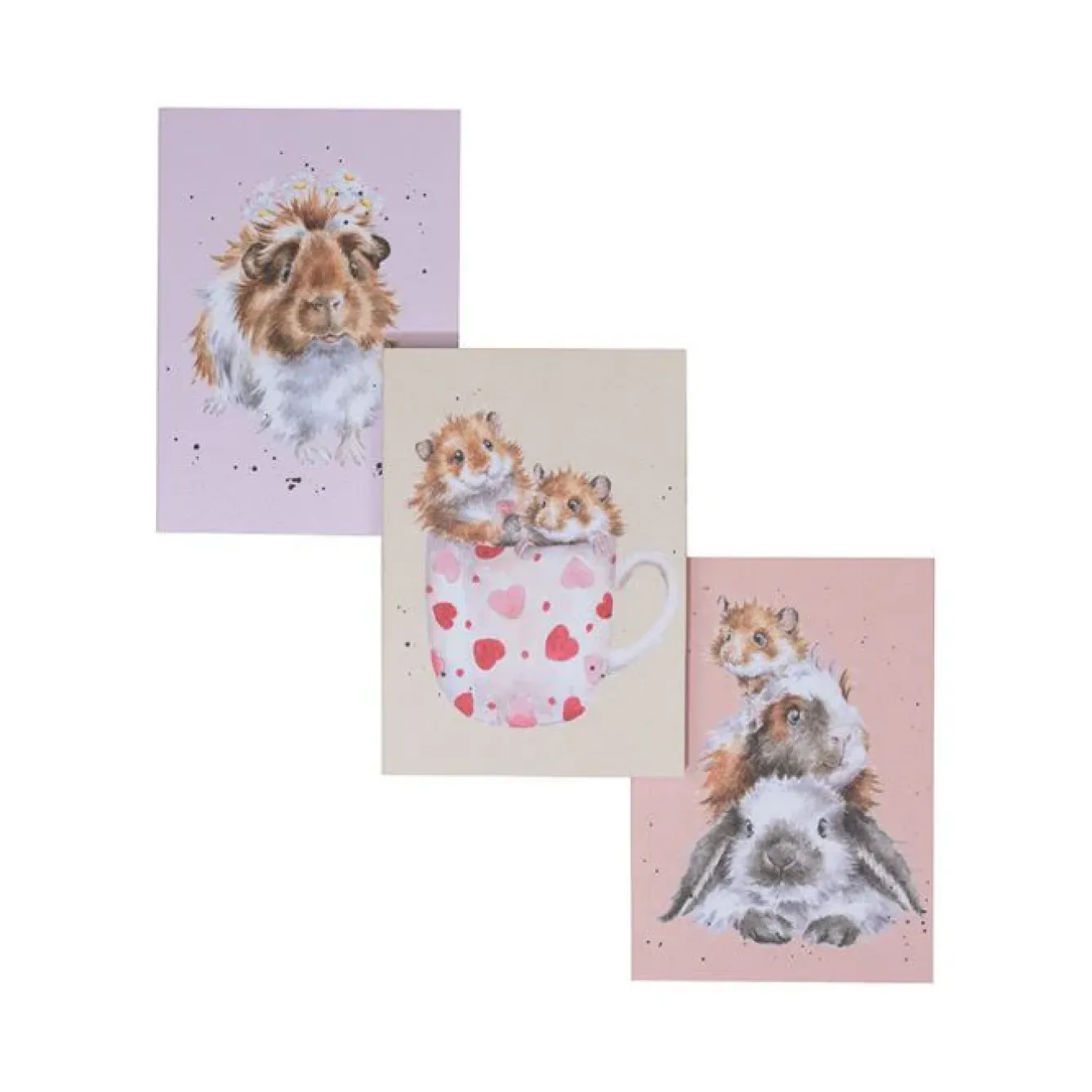 Wrendale Designs Stationery|Pets-Whiskers & Paws - Set of 3 Notebooks
