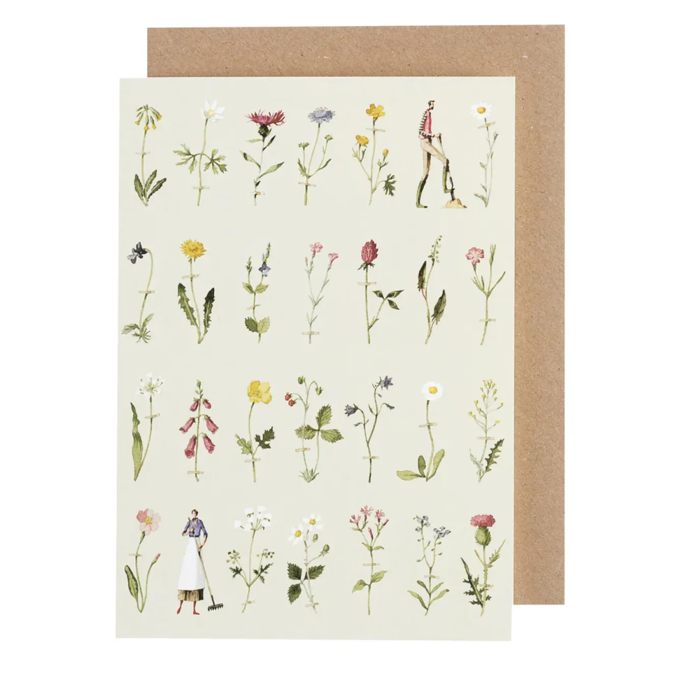 Laura Stoddart Greeting Cards-Wild Flowers Greetings Card