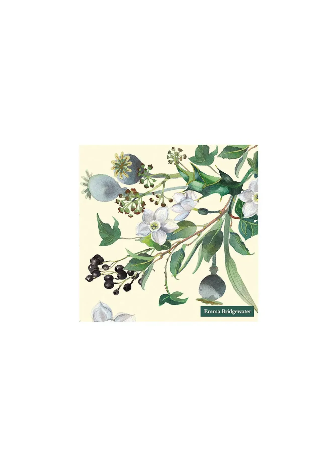 Emma Bridgewater Napkins-Winter Flowers Paper Napkins