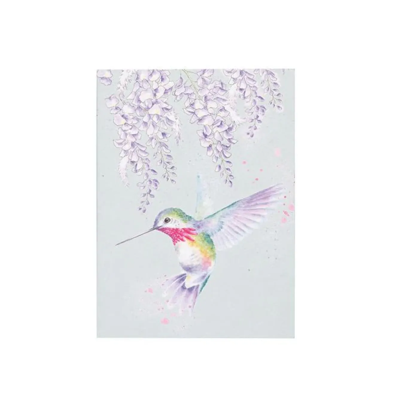 Wrendale Designs Stationery-'Wisteria Wishes' Hummingbird A6 Notebook