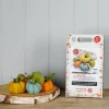 The Crafty Kit Co. Halloween|Crafts-Woolly Pumpkins Needle Felting Kit