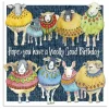 Emma Ball Greeting Cards-Woolly Sheep Woolly Good Birthday Greetings Card