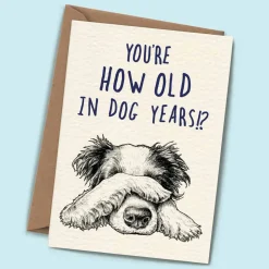 Bewilderbeest Greeting Cards-You're How Old in Dog Years Greetings Card